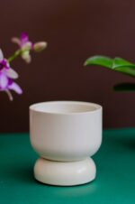 Podio con Orquidea baby - Image 5