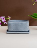 Jardin Boreal - Image 3