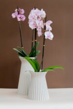 Florero Cattleya Beige con orquídea premium - Image 4