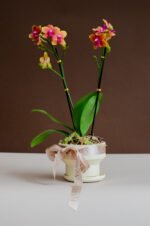 Copa con orquidea multiflora - Image 7