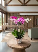 Jardin super Premium - Image 2